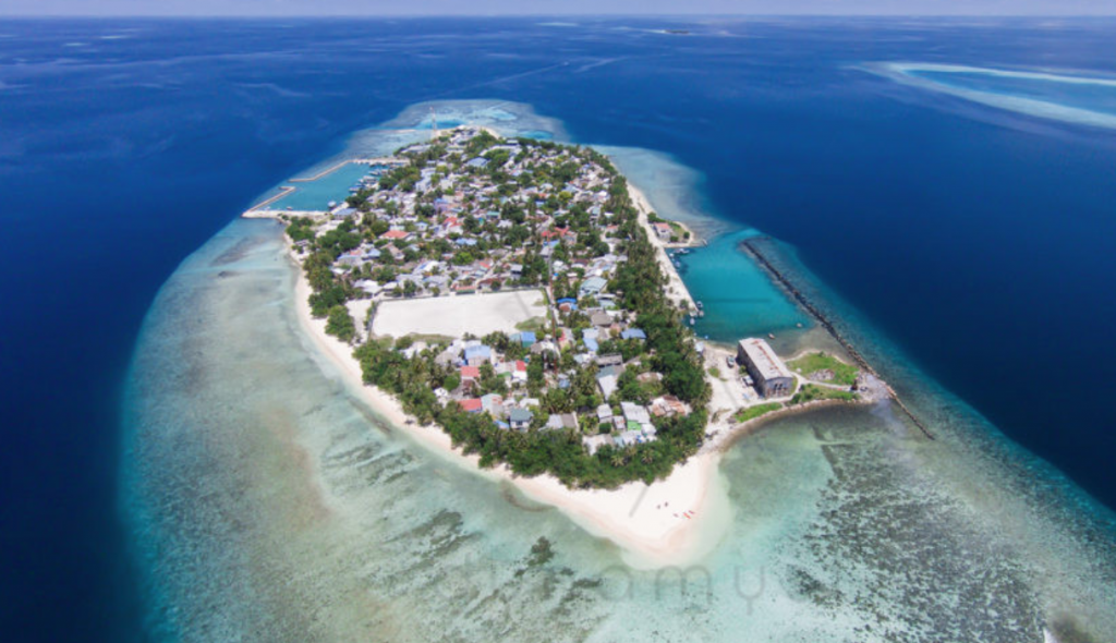 big_RztsgqxiGIOL0tN6HqGcTfJgI