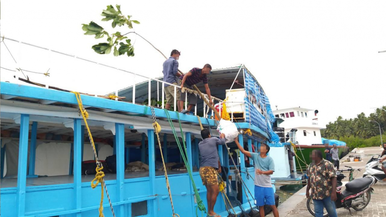 ވަގަށް ބޭރުކުރަން އުޅުނު ކިނބިގަސްތައް  ފޮޓޯ: ފުލުހުން