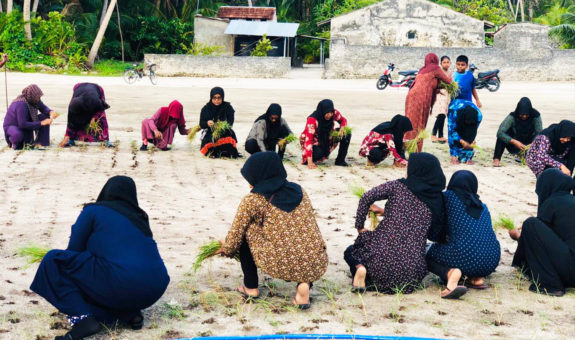 ގޮއިދޫ ފުޓްބޯޅަ ދަނޑުގައި ވިނަ އިންދަނީ - ފޮޓޯ: އަޙްމަދު ނާފިއު