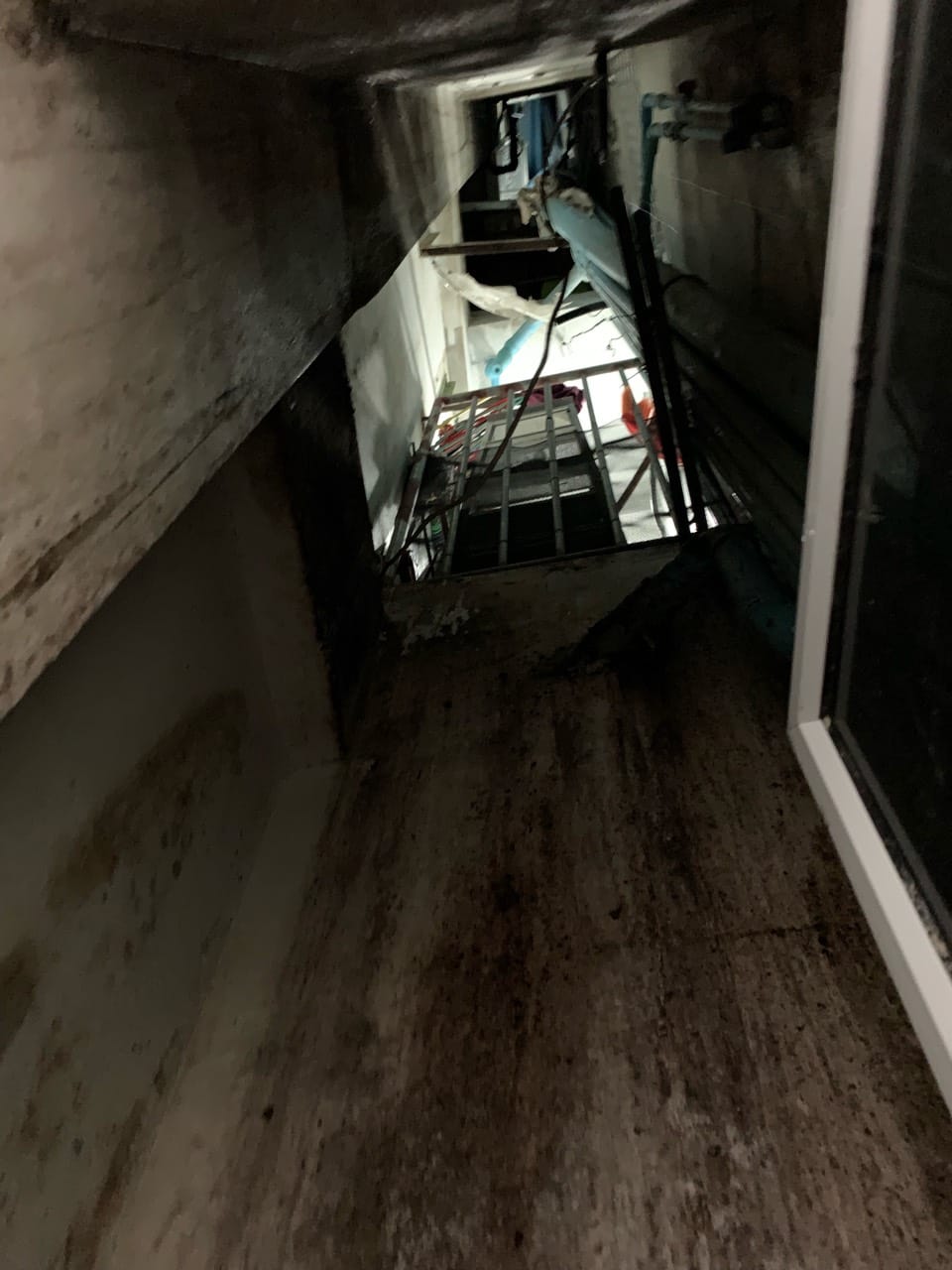 އަންހެން މީހާ ވެއްޓުނު ވައިގޮޅި - ފޮޓޯ: ފުލުހުން