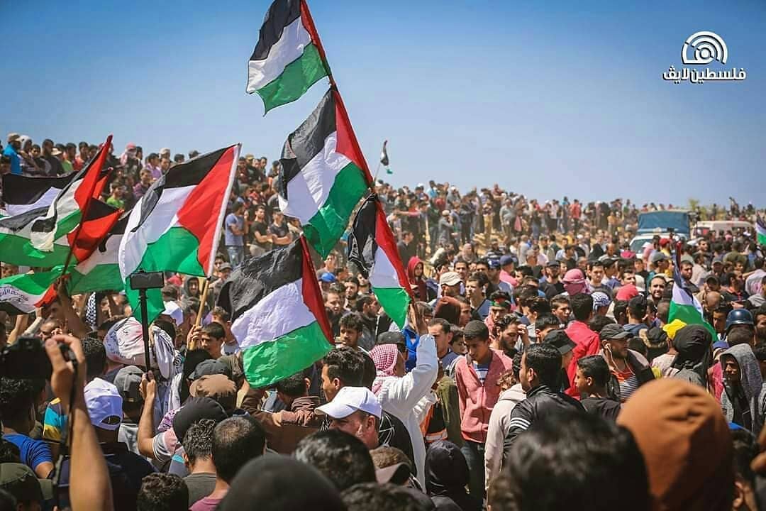 58755304_473101400095781_6431133058533915250_n