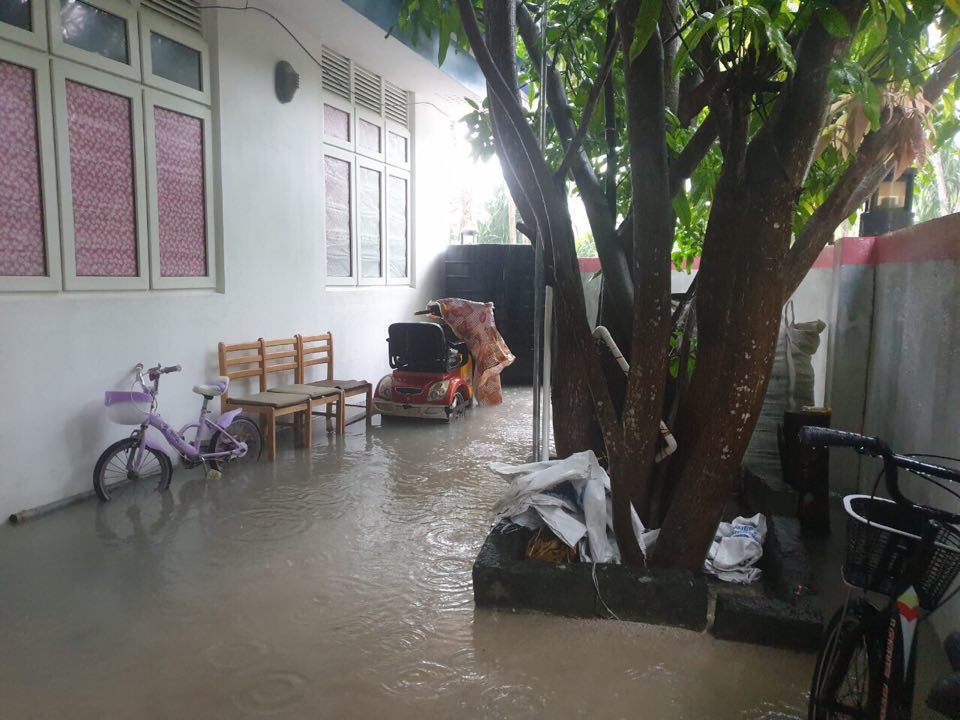 69449595_3090213967686339_7840863188584235008_n