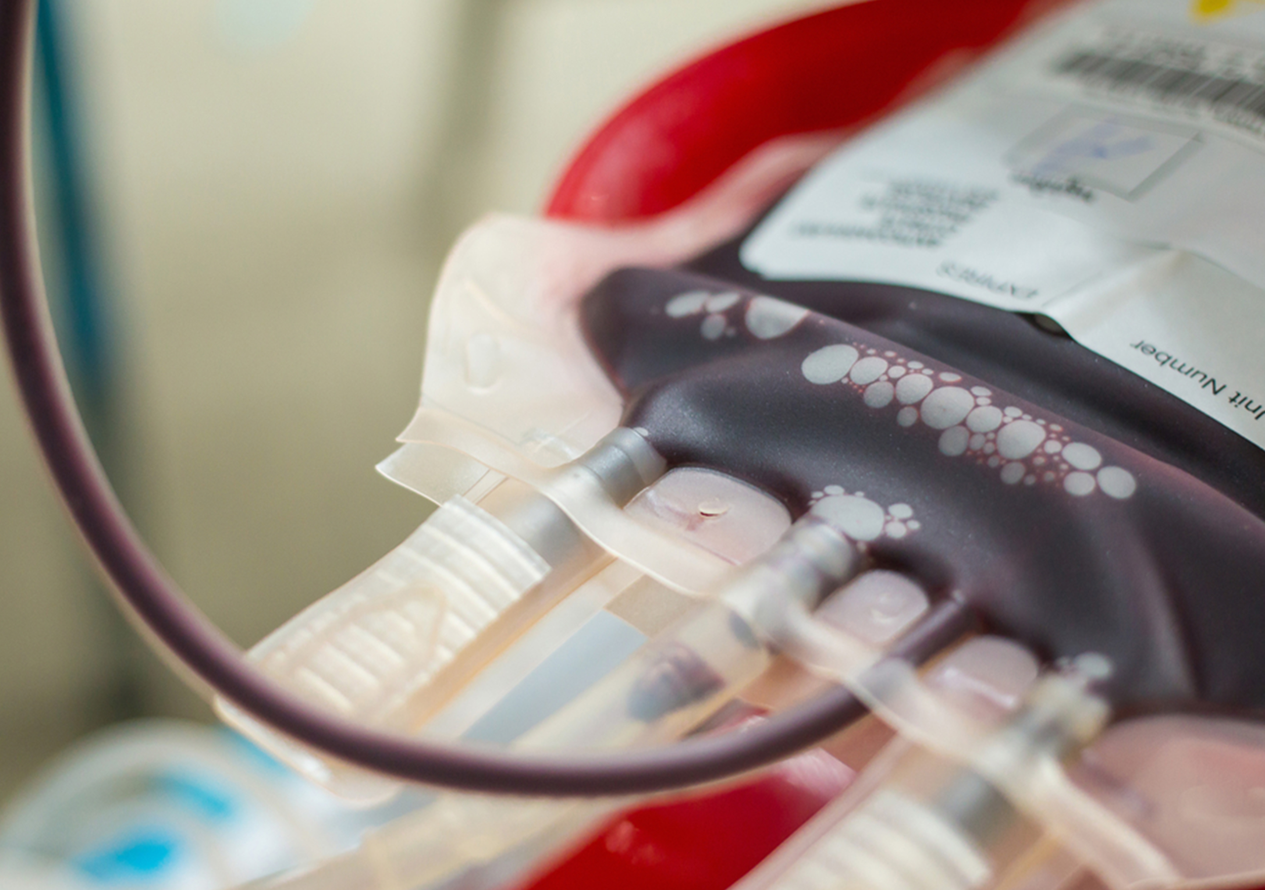 ތެލަސީމިއާ