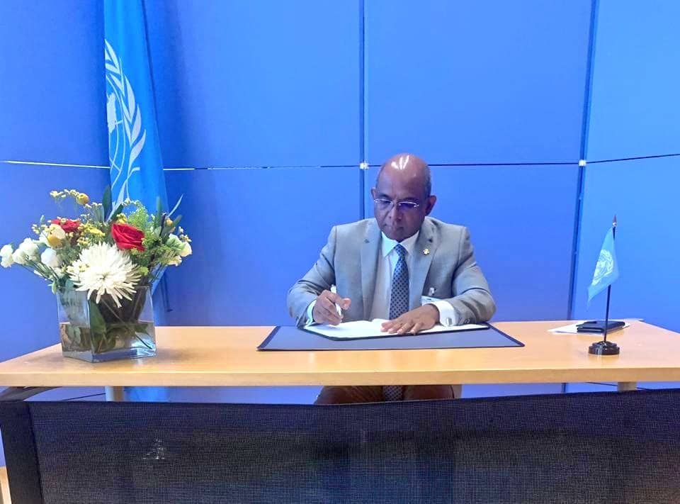 71086641_1274641382717390_6249628120958107648_n