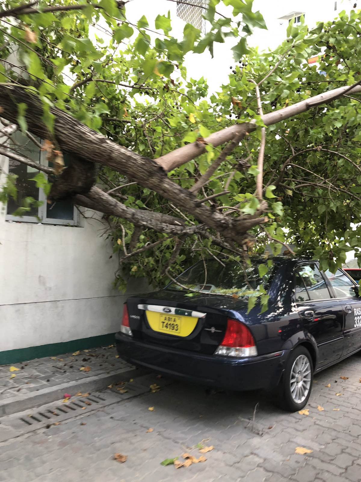 IMG-5e790bc3a91b7f15c28a505d2990a6c9-V