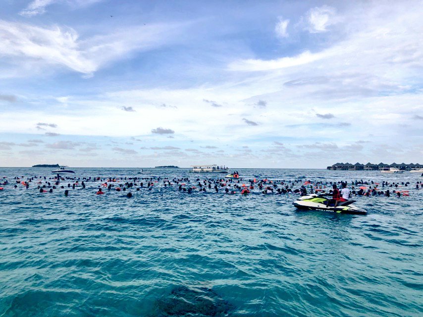 ފްރީޑައިވް ރެކޯޑް ޤާއިމް ކުރުމުގެ ތެރެރއިން - ފޮޓޯ: އުރީދޫ