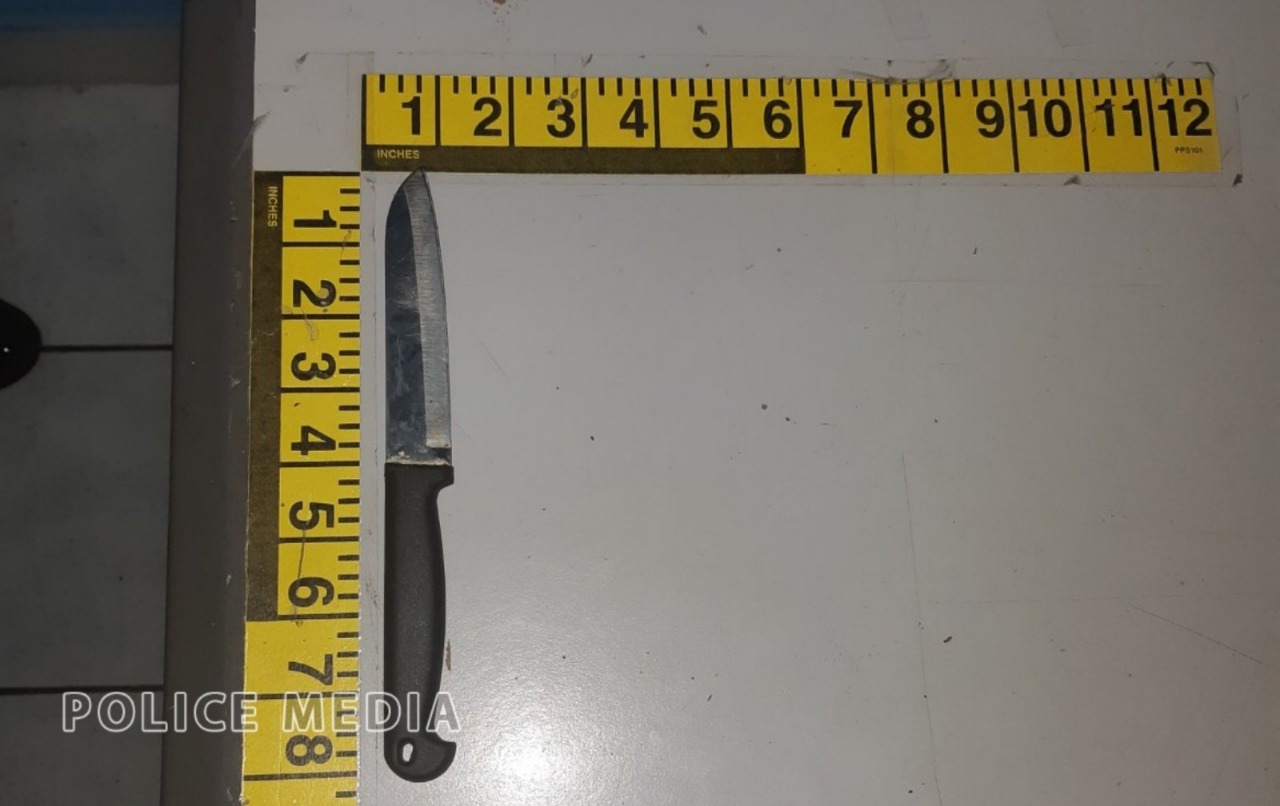 ވައްކަން ކުރަން ވަތް ޒުވާނާގެ އަތުން ފެނުނު ވަޅިއެއް - ފޮޓޯ: ޕޮލިސް