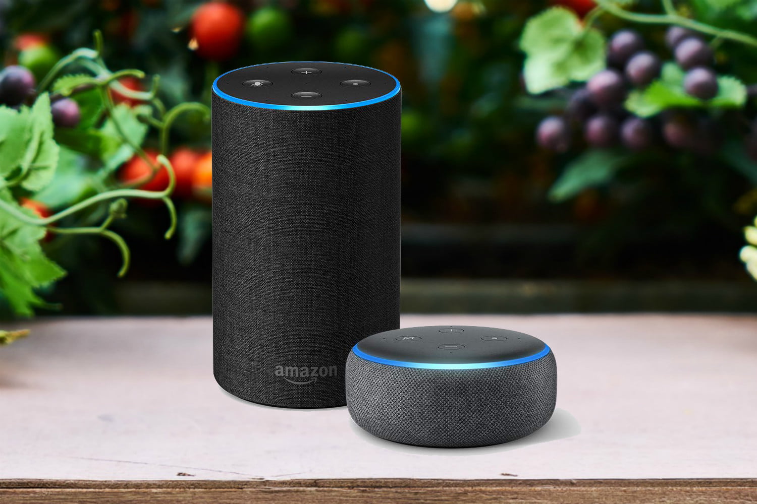 amazon-echo-2nd-gen-and-echo-dot-3rd-gen