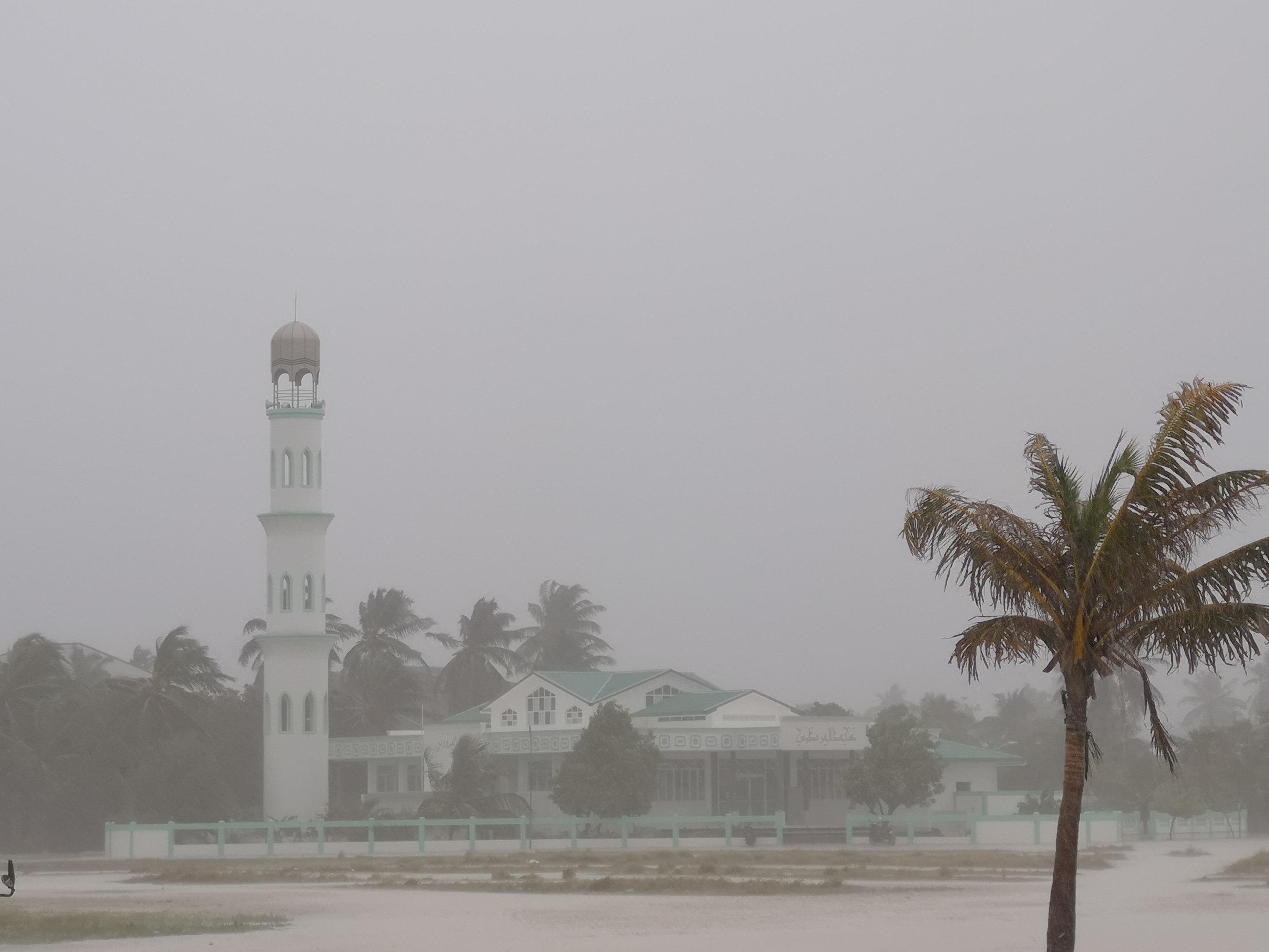 މޫސުން ވިއްސާރަ