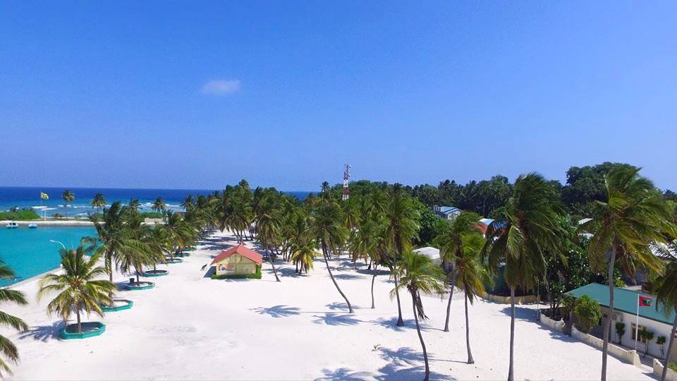 13082118_10153518764885423_1511655529_n