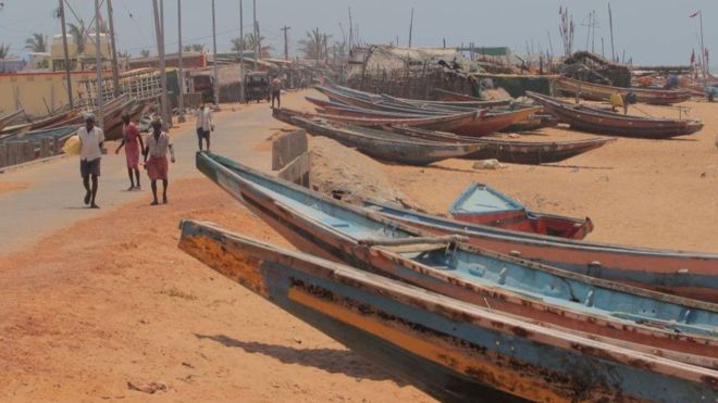 _112344478_whatsubject