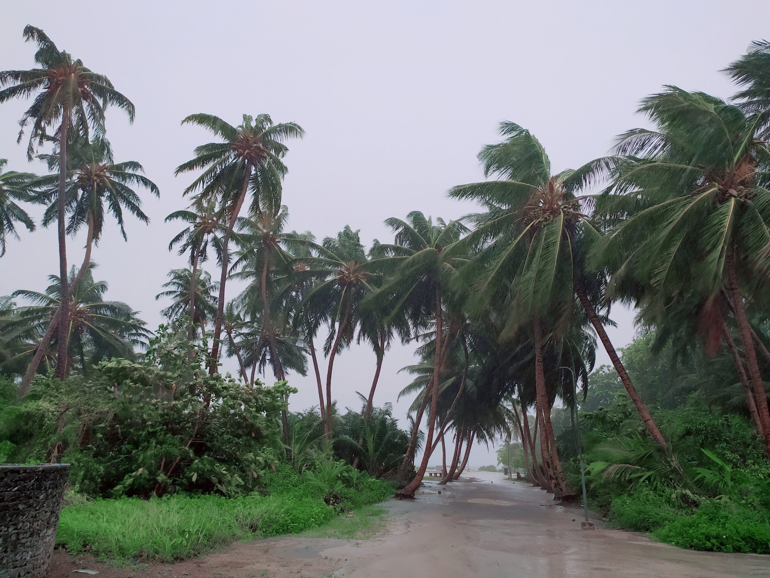 moosun  މޫސުން