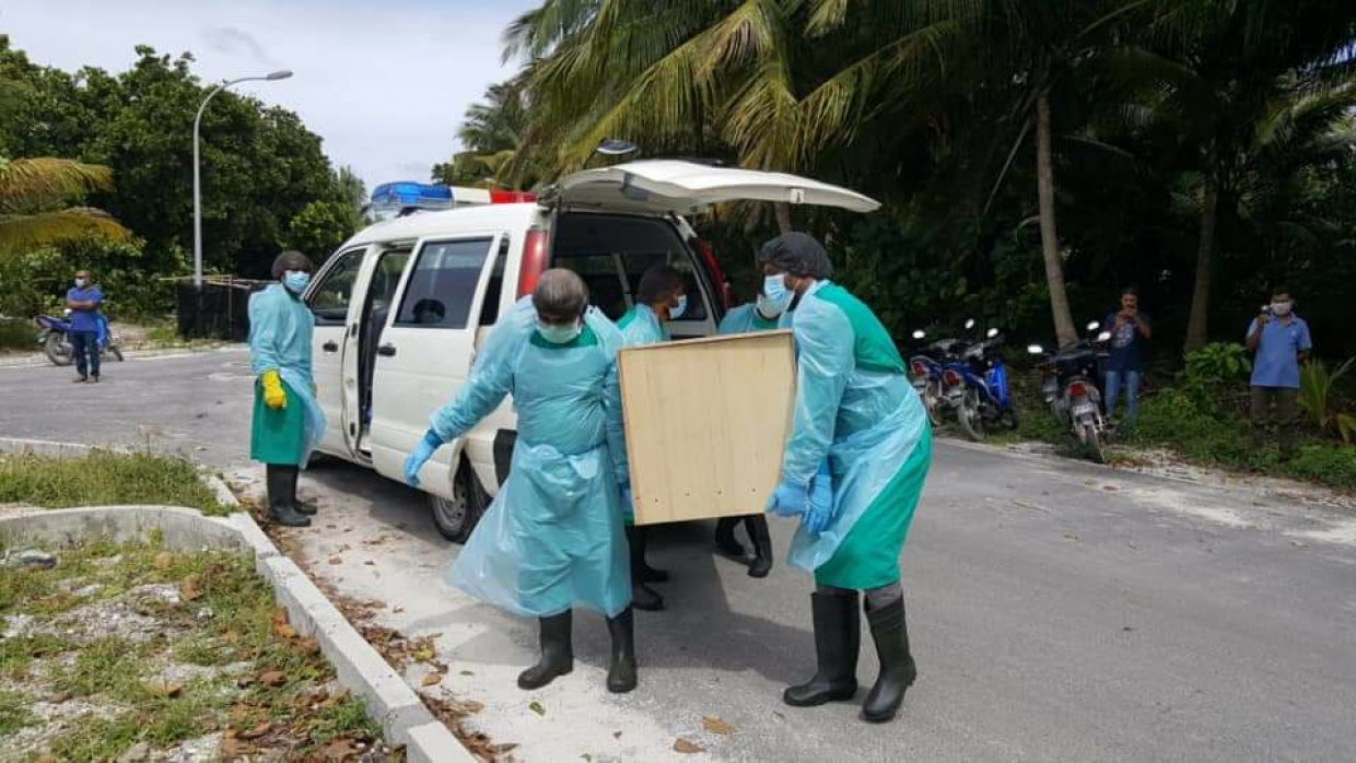 large_158954484243Sisc