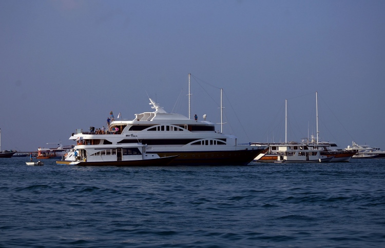 ހުޅުމާލެ ފަޅުގައި އަޅާފައިވާ ސަފާރީތަކެއް | ފޮޓޯ: މިހާރު