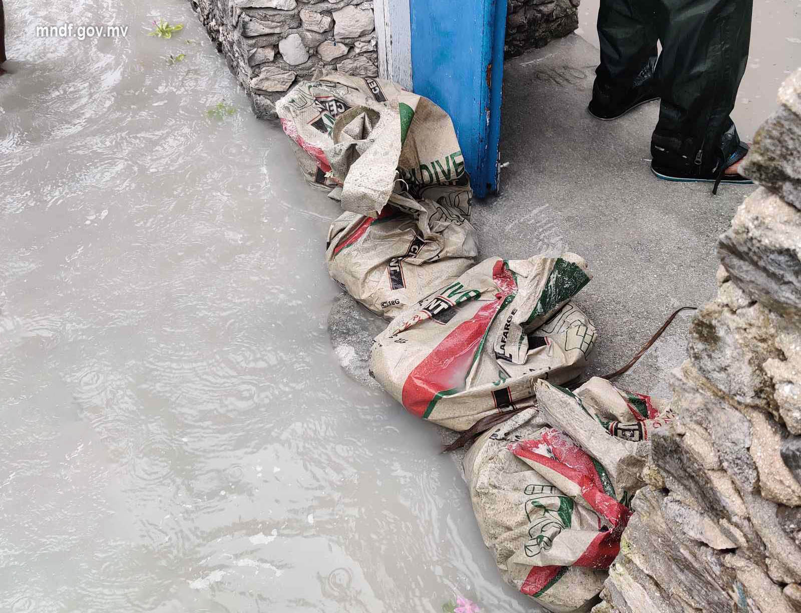 ފޮޓޯ: އެމްއެންޑީއެފް