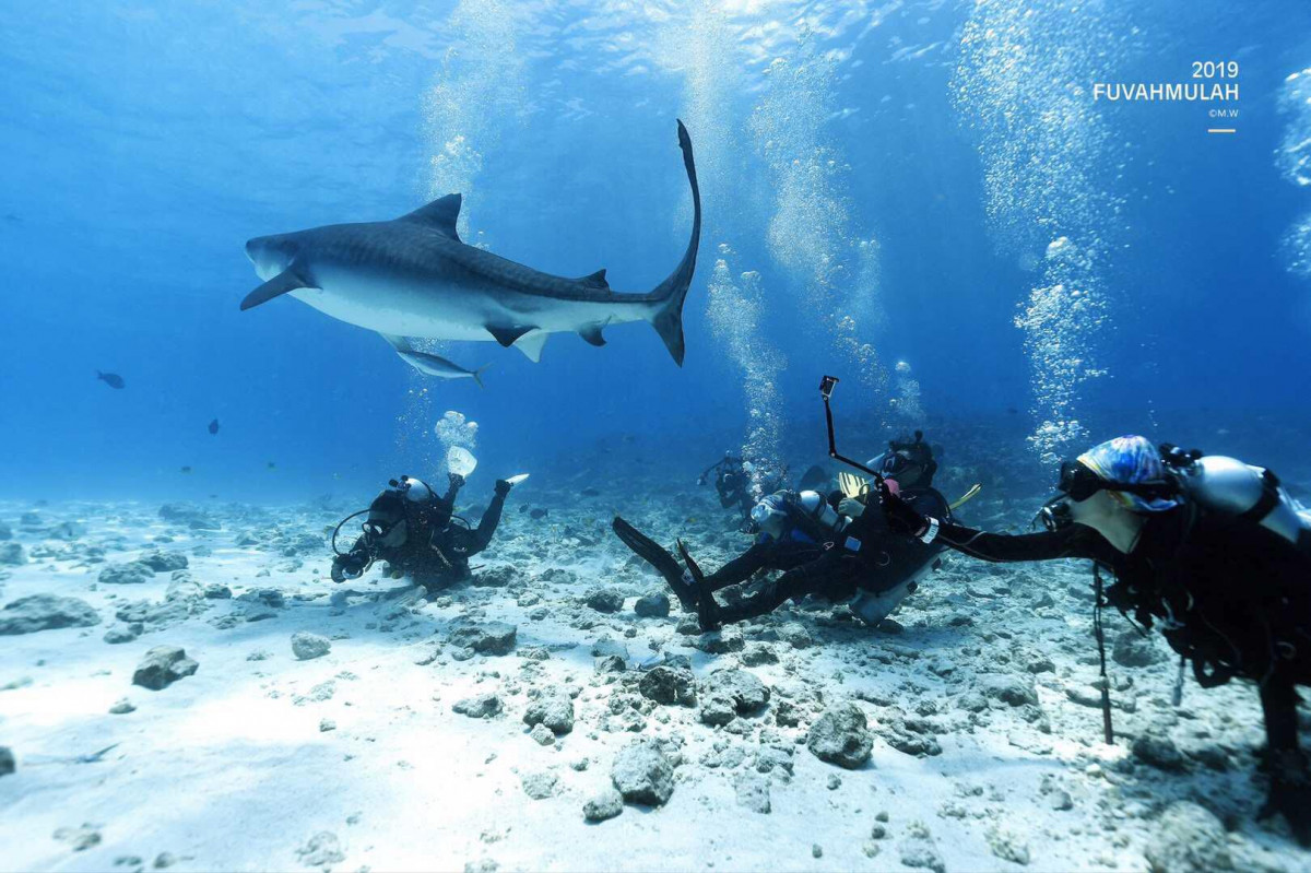 ފުވައްމުލަކުގައި ފީނަން ގޮސް އުޅުނު ބަޔަކު ނަގާފައިވާ ކަނޑުއަޑީގެ މަންޒަރެއް - އިންސްޓަގްރާމް.ކޮމް/ލޮނުބްރޭކް