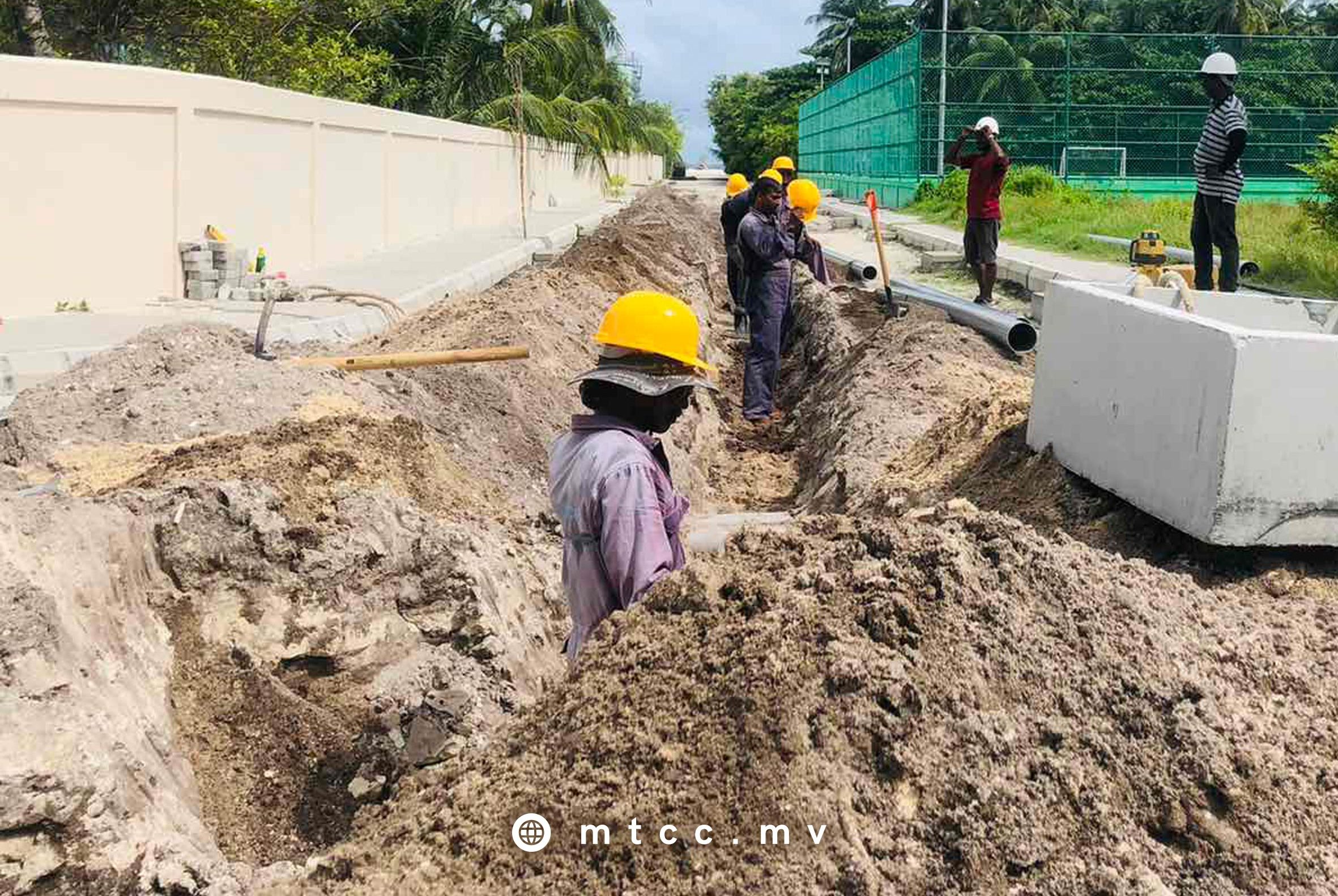 ފޮޓޯ: އެމްޓީސީސީ