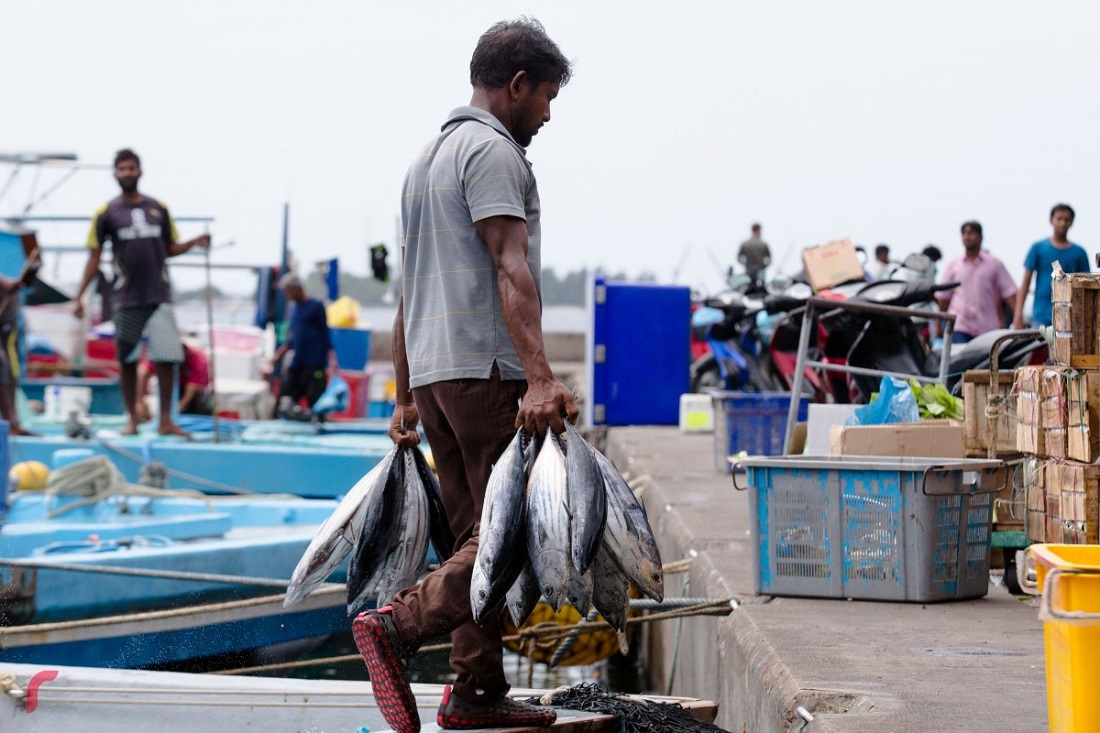 ފޮޓޯ: ރާއްޖެ.އެމްވީ