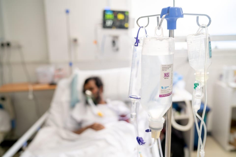 118504697_313488996391548_8443559632857951585_n