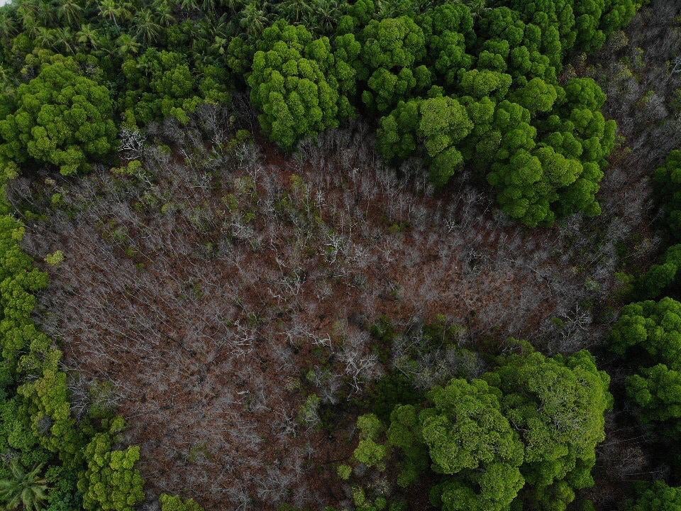 ވައިކަރަދޫ ކަނޑޫފާ މިހާރުގެ ހާލަތު - ފޮޓޯ: ޙުސައިން ޝަޤީފް