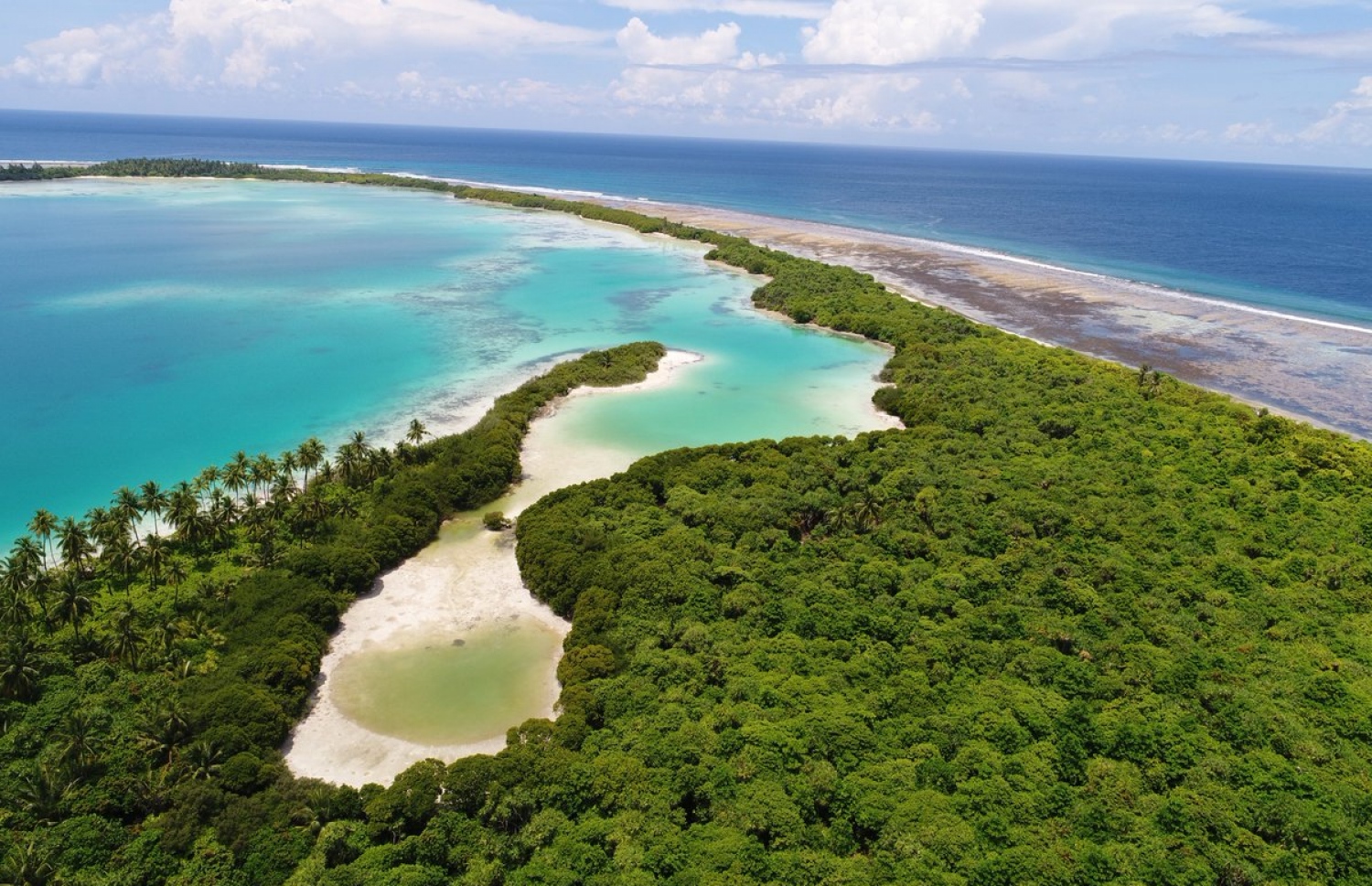 210129_3_0733de5d20fd1b10f173d2c1b4f721531898291b