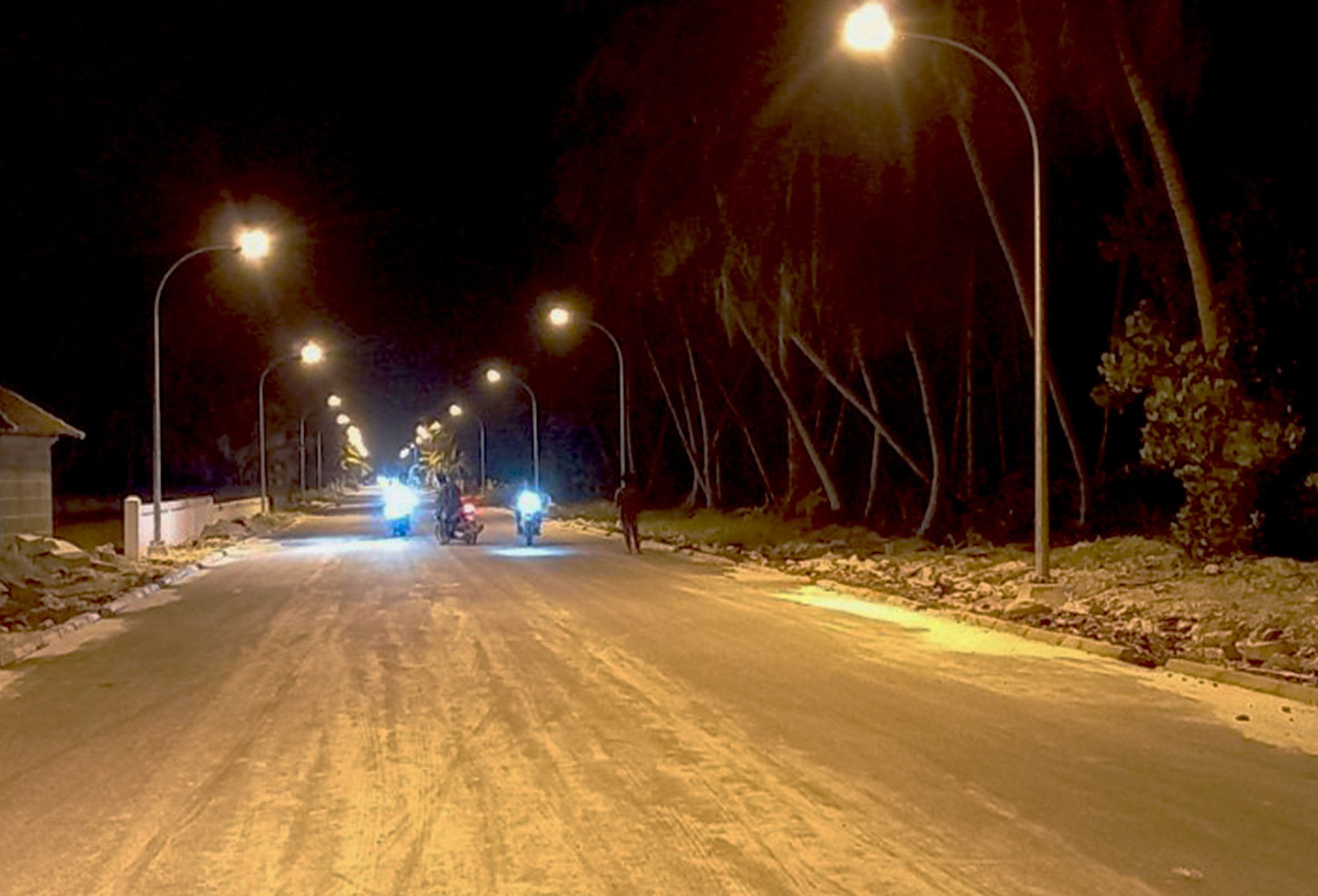 ފޮޓ: އެމްޓީސީސީ