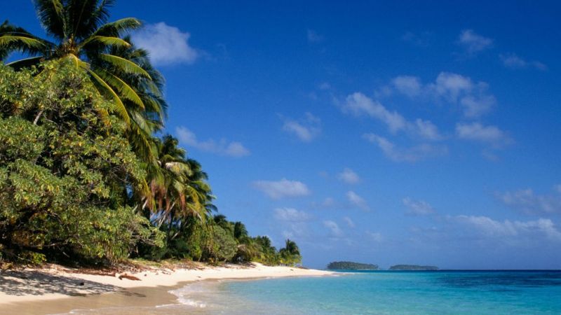 _115109452_gettyimages-635837768