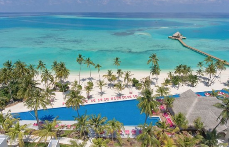 ފޮޓޯ: ޓްރިޕް އެޑްވައިޒާ