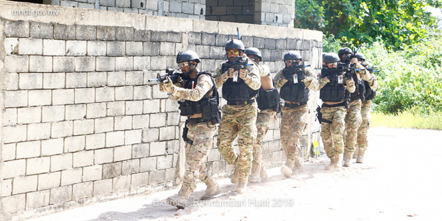 އެމްއެންޑީއެފް