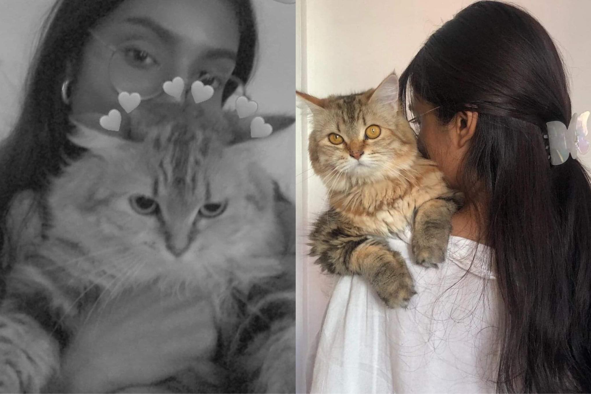 228279689_434743497579271_5590306438971597568_n