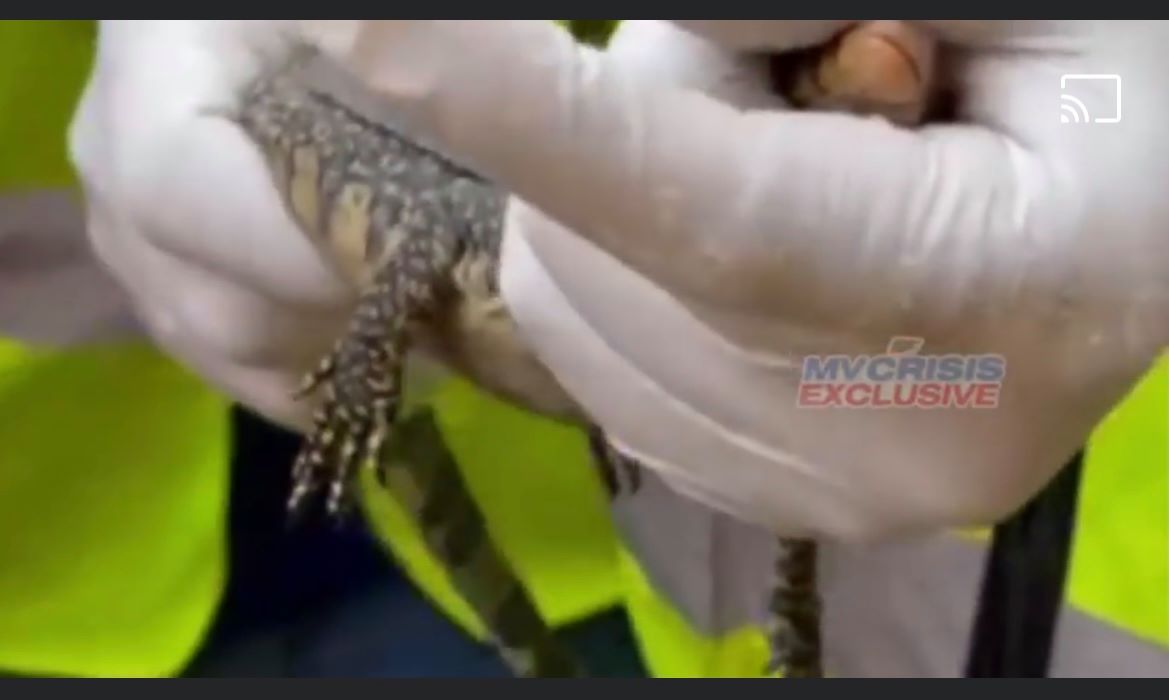 240186270_641747176791538_8127822781656929592_n