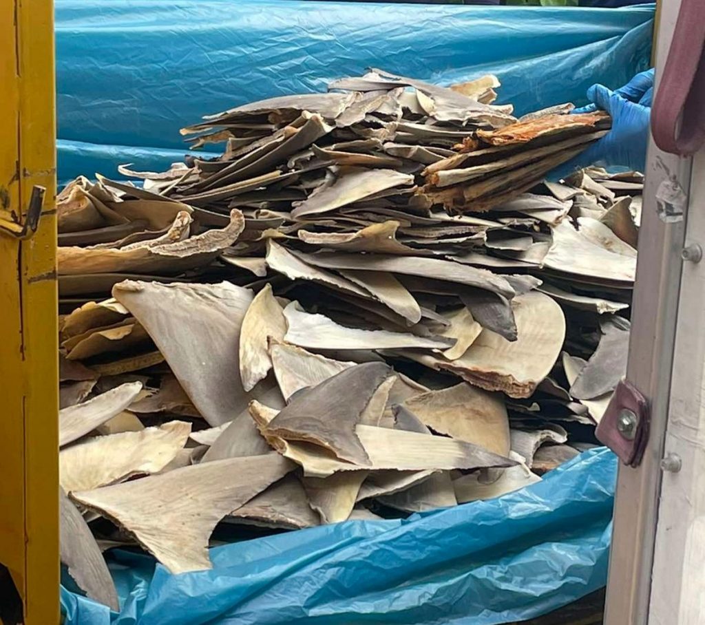 97044c20-32f6-4b34-9200-97b4fd419b9f-1024x908