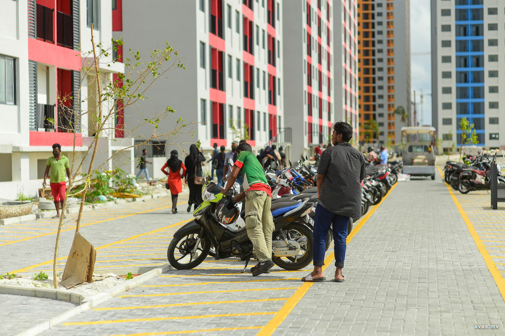 ފޮޓޯ: އަވަސް