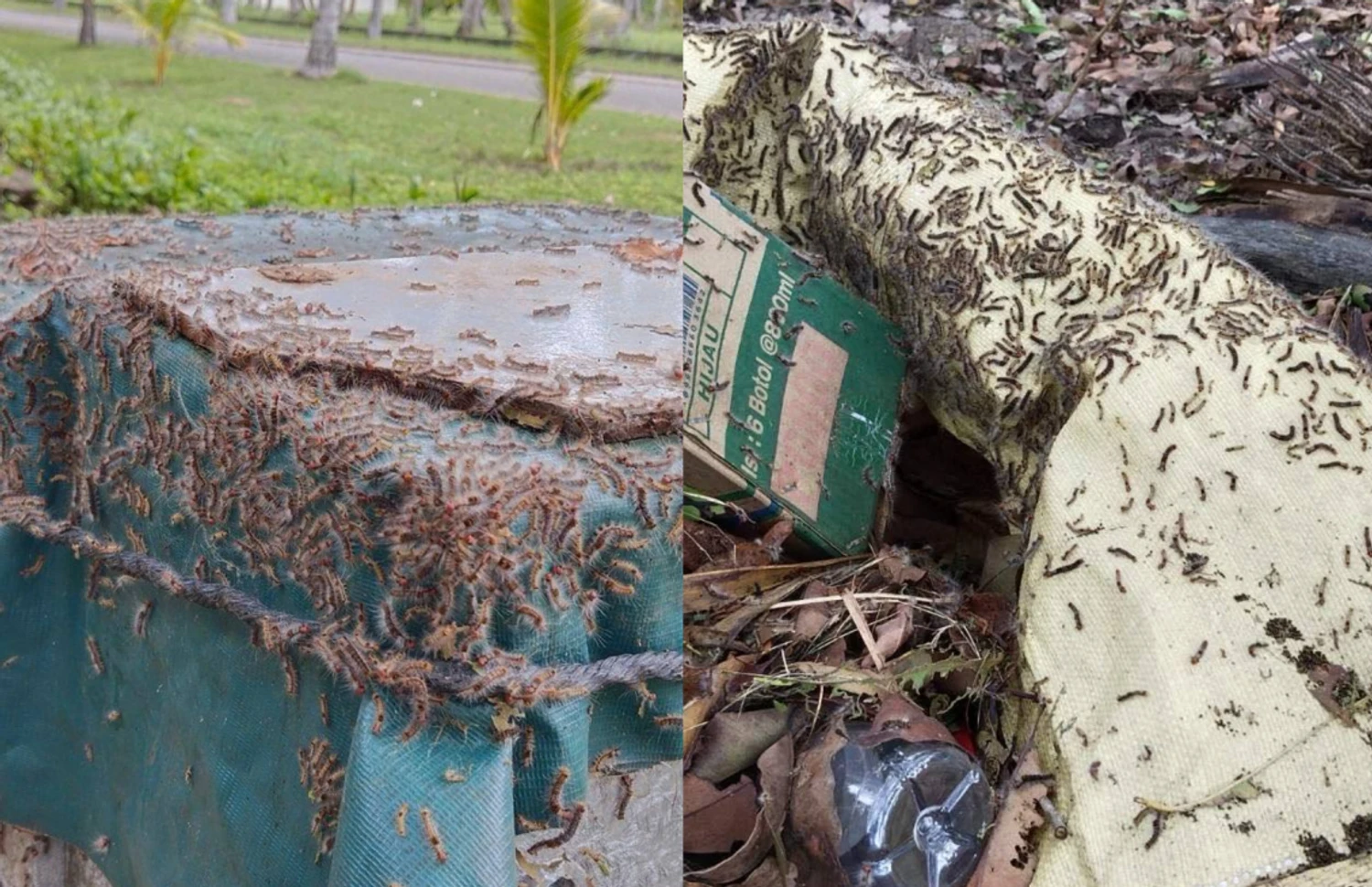 416869_3_f8584f5a22c30800e04b77319162d62e4bab17a5_large (1)-1747551477606