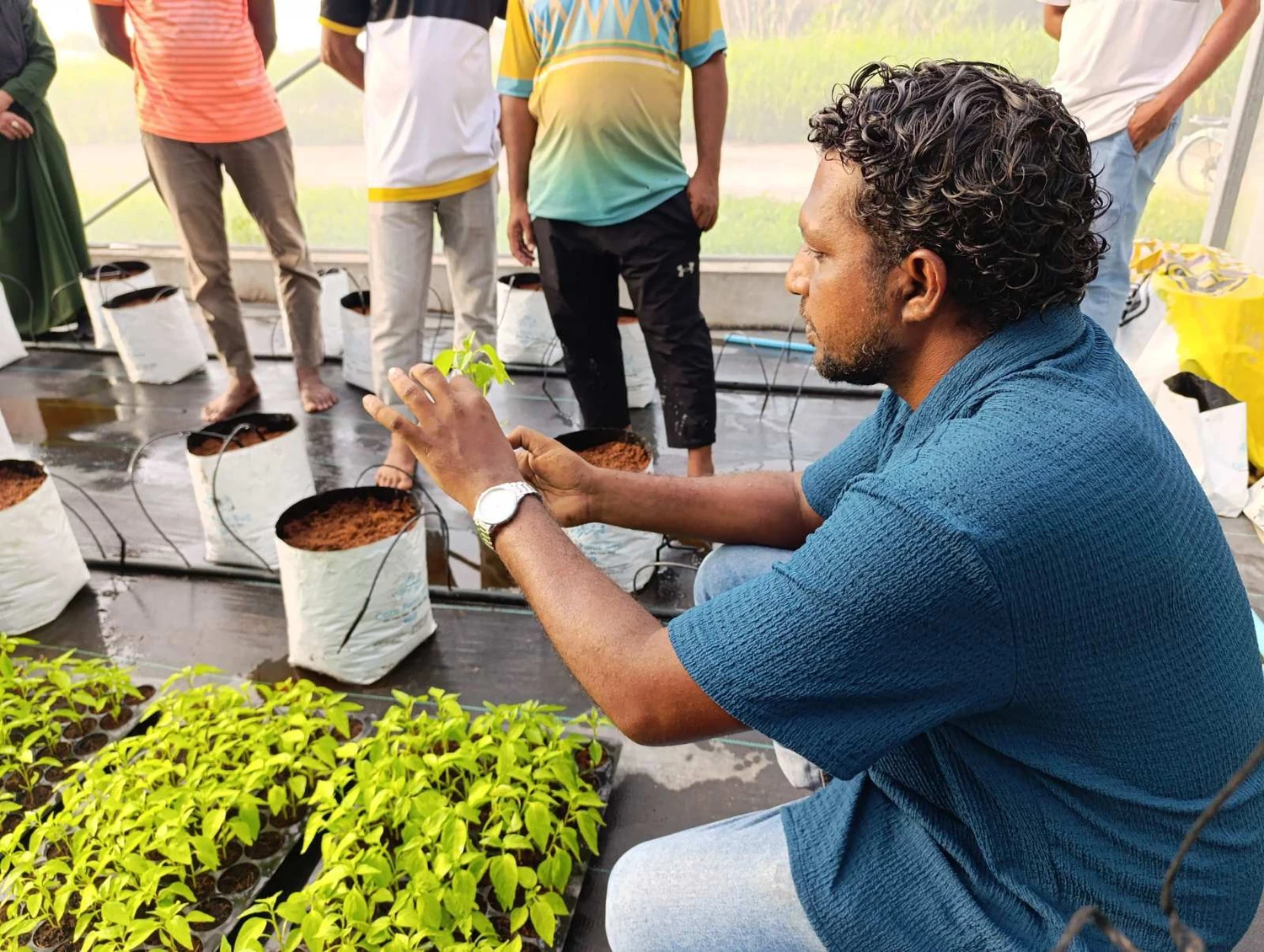 WhatsApp Image 2025-07-01 at 21.33.35_580328ce-1751779223289