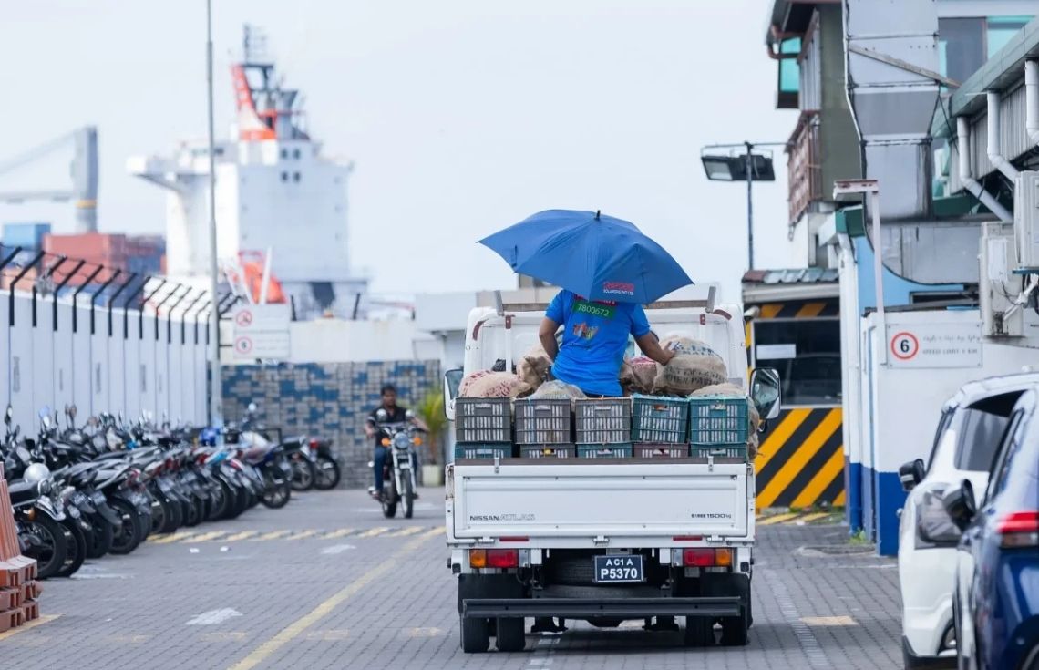 Farudhun main image - zai (7)