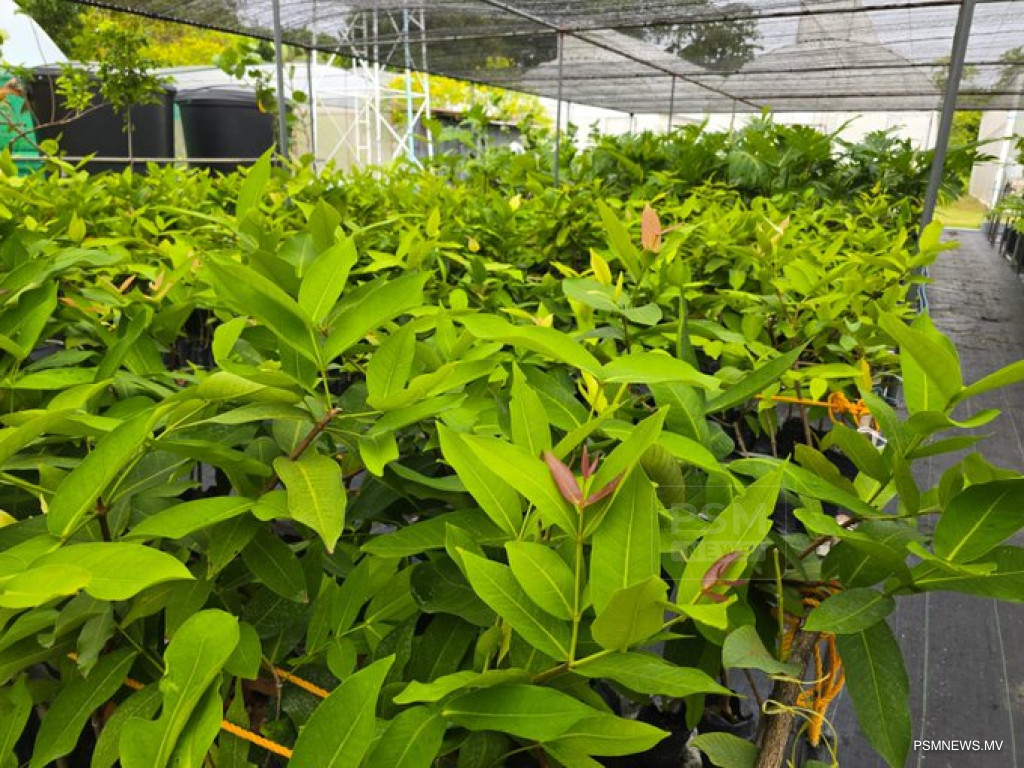 big_wde49bEqSGqlV0omcZUW8LNdT