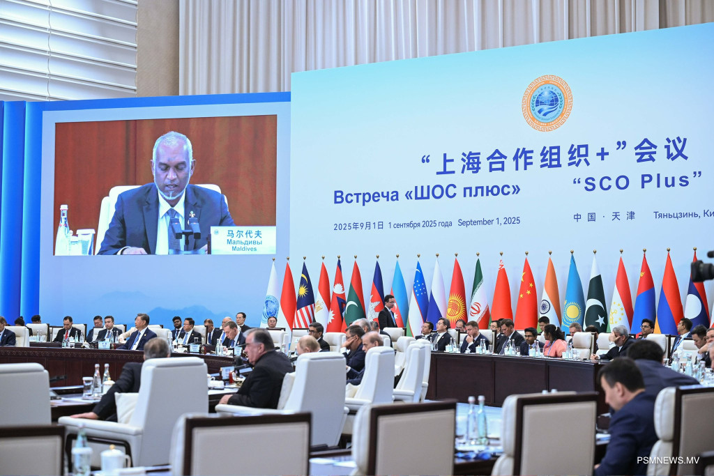 big_ylDX2ggITCIAGY2UfZT75AvBX