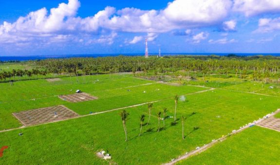 ތޮއްޑޫ ކަރާ ދަނޑުތައް: - ފޮޓޯ: ރާއްޖެއެމްވީ