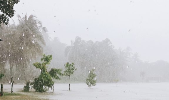 މޫސުން