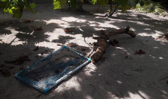 ވޭމަންޑޫ މުދިމަށް އަނިޔާވިތަން، އަނިޔާވެފައިވަނީ ގޮފިގަނޑުން ޖެހިފައި - ފޮޓޯ: ވަގުތު