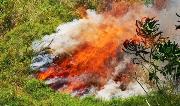 82997261_163299391769795_4000243762520391680_n