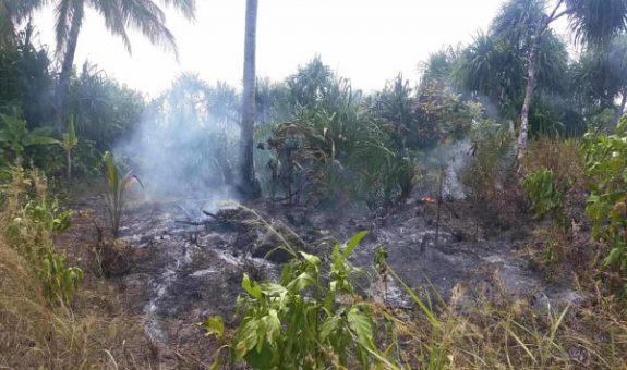 87034129_215755382806369_1408564198652248064_n