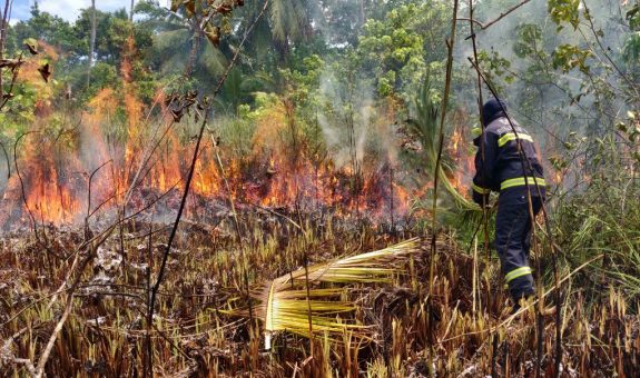 IMG-78d153d59af35295e1d7547a23177f24-V