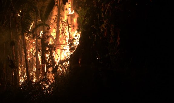 އަލިފާން ރޯވެފައިވާ ސަރަހައްދު - ފޮޓޯ: އެމްއެންޑީއެފް