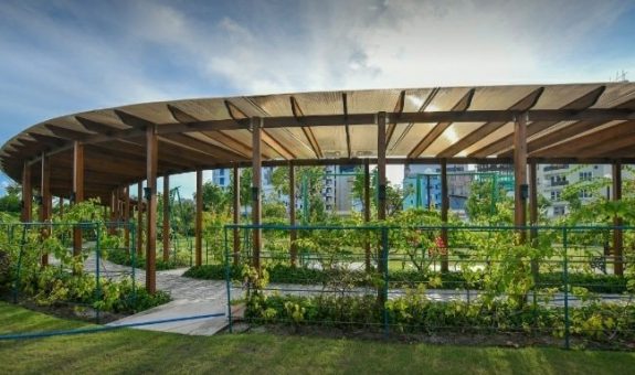 Lonuziyaaraiy park..