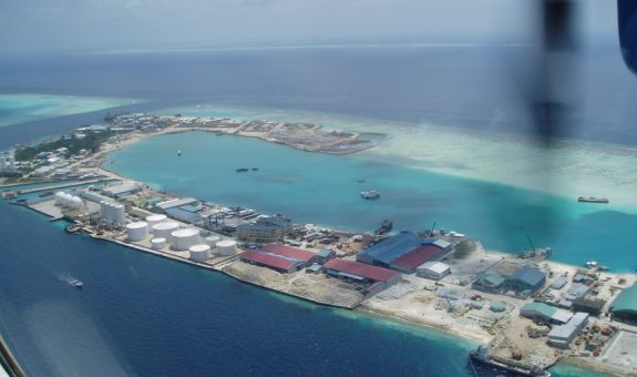 ތިލަފުށި - ފޮޓޯ: ވިކިޕީޑިއާ