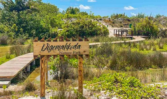 https___www.bankofmaldives.com.mv_storage_article_416_2952_1619421143.16194211433421