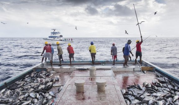 masverikan-fishing
