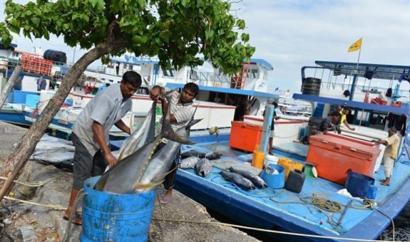ފޮޓޯ: ވީ ނިއުސް